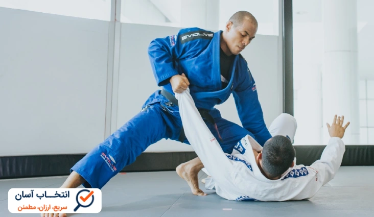 جوجیتسو برزیلی